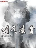 《剑气凌霄》小说封面