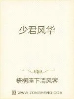 《少君风华》小说封面