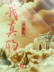 《我真的成过仙》小说封面