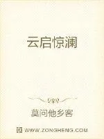《云启惊澜》小说封面