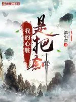 《我的心脏是把剑》小说封面
