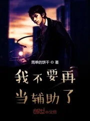 《我不要再当辅助了》小说封面