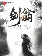 《剑翁》小说封面