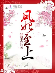 《凤妃至上》小说封面