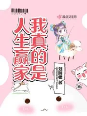 《我真的是人生赢家》小说封面