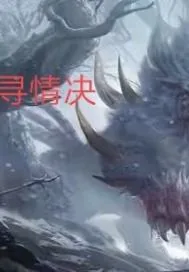 《寻情决》小说封面