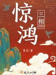 《惊鸿三相》小说封面
