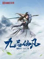 《九品仙凡》小说封面