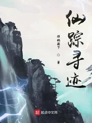 《仙踪寻迹》小说封面