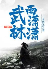 《武林雨潇潇》小说封面