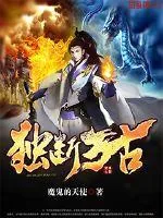 《独断万古》小说封面