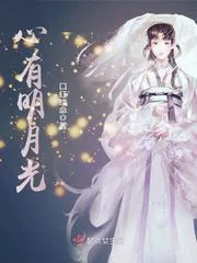 《心有明月光》小说封面