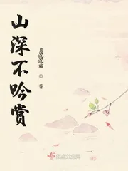 《山深不吟赏》小说封面