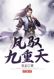 《凤驭九重天》小说封面