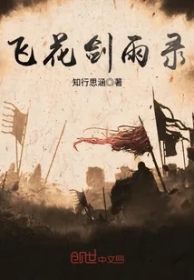 《飞花剑雨录》小说封面