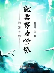 《因为太弱就要努力修炼》小说封面