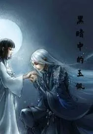 《黑暗中的玉佩》小说封面
