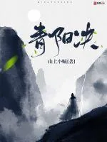 《青阳决》小说封面