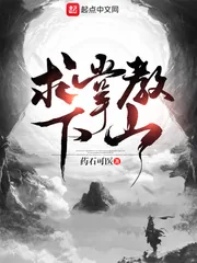 《求掌教下山》小说封面