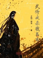 《武修之杀戮吕布》小说封面