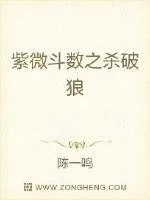 《紫微斗数之杀破狼》小说封面
