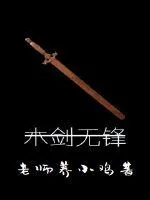 《木剑无锋》小说封面