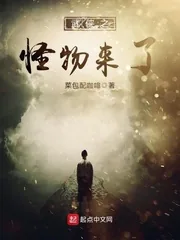 《武侠之怪物来了》小说封面