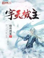《宇天域主》小说封面