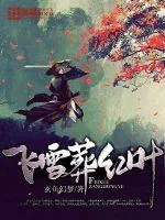 《飞雪葬红叶》小说封面