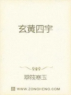 《四宇天际》小说封面