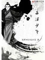《逐浪少年》小说封面