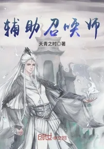 《辅助召唤师》小说封面