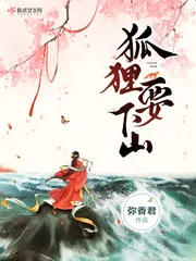 《狐狸要下山》小说封面