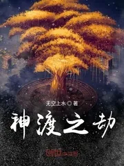 《神渡之劫》小说封面