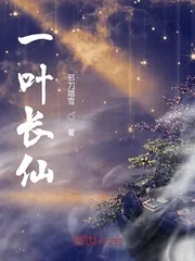 《一叶长仙》小说封面