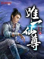 《唯一仙尊》小说封面