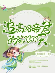 《追高冷帝君的第3333天》小说封面