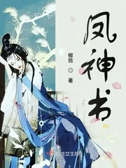 《凤神书》小说封面