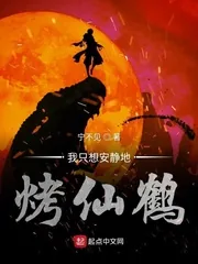 《我只想安静地烤仙鹤》小说封面