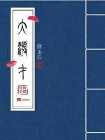 《大泼才》小说封面