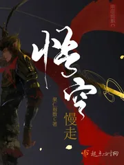 《悟空慢走》小说封面