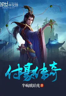 《付豪传奇》小说封面