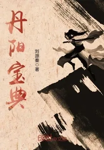 《丹阳宝典》小说封面