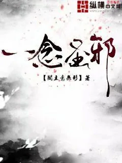 《一念圣邪》小说封面