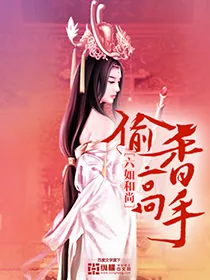 《偷香高手》小说封面