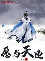 《愿与天违》小说封面