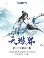 《天璇界》小说封面