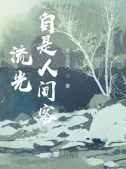 《流光自是人间客》小说封面