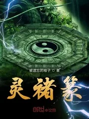 《灵褚篆》小说封面