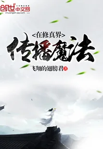 《在修真界传播魔法》小说封面